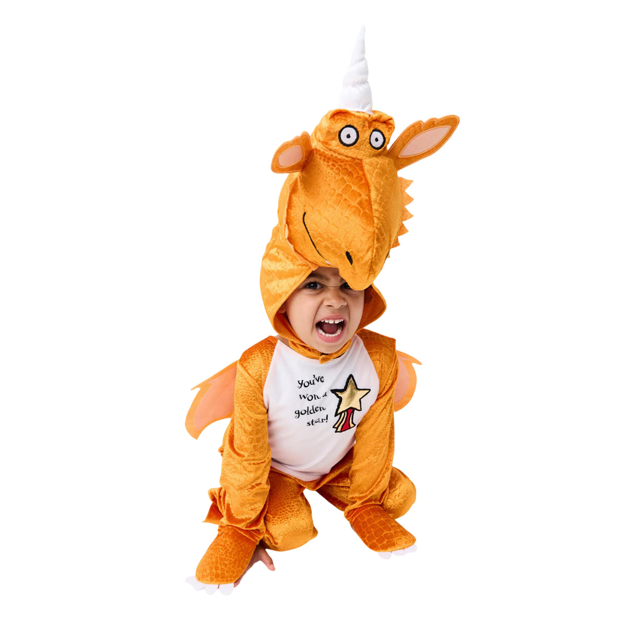 Orange Zest - Lifestyle - The Gruffalo Childrens-Kids Zog 3D Costume