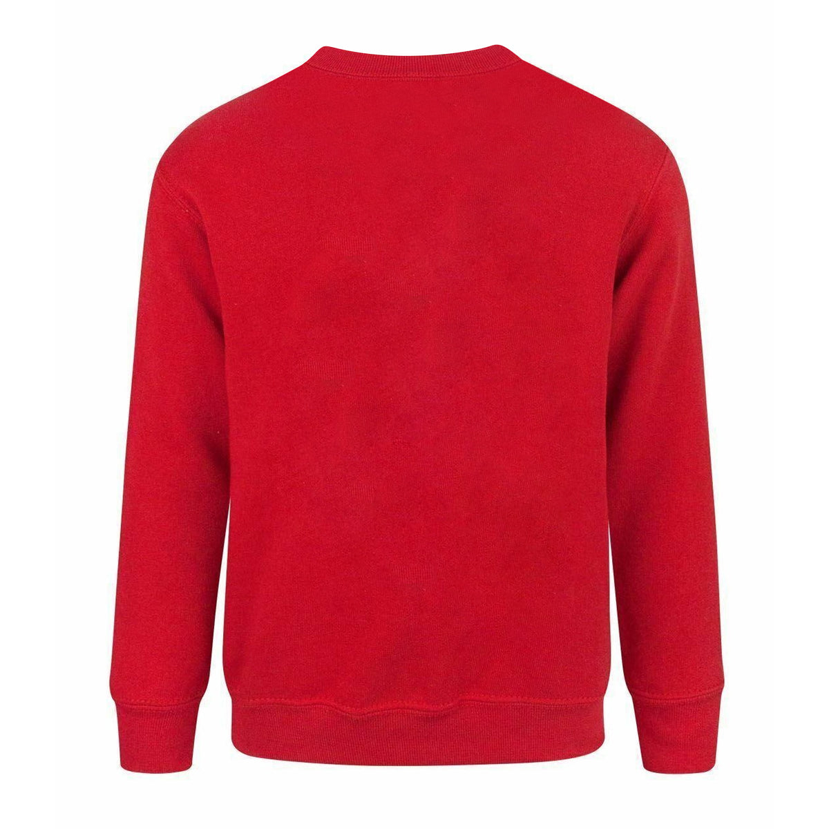Red - Back - Minecraft Childrens-Boys Official Like A Boss Sweatshirt