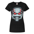 Black - Front - Marvel Womens-Ladies Ant-Man T-Shirt