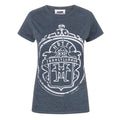 Charcoal - Front - Hotel Transylvania Womens-Ladies Logo T-Shirt