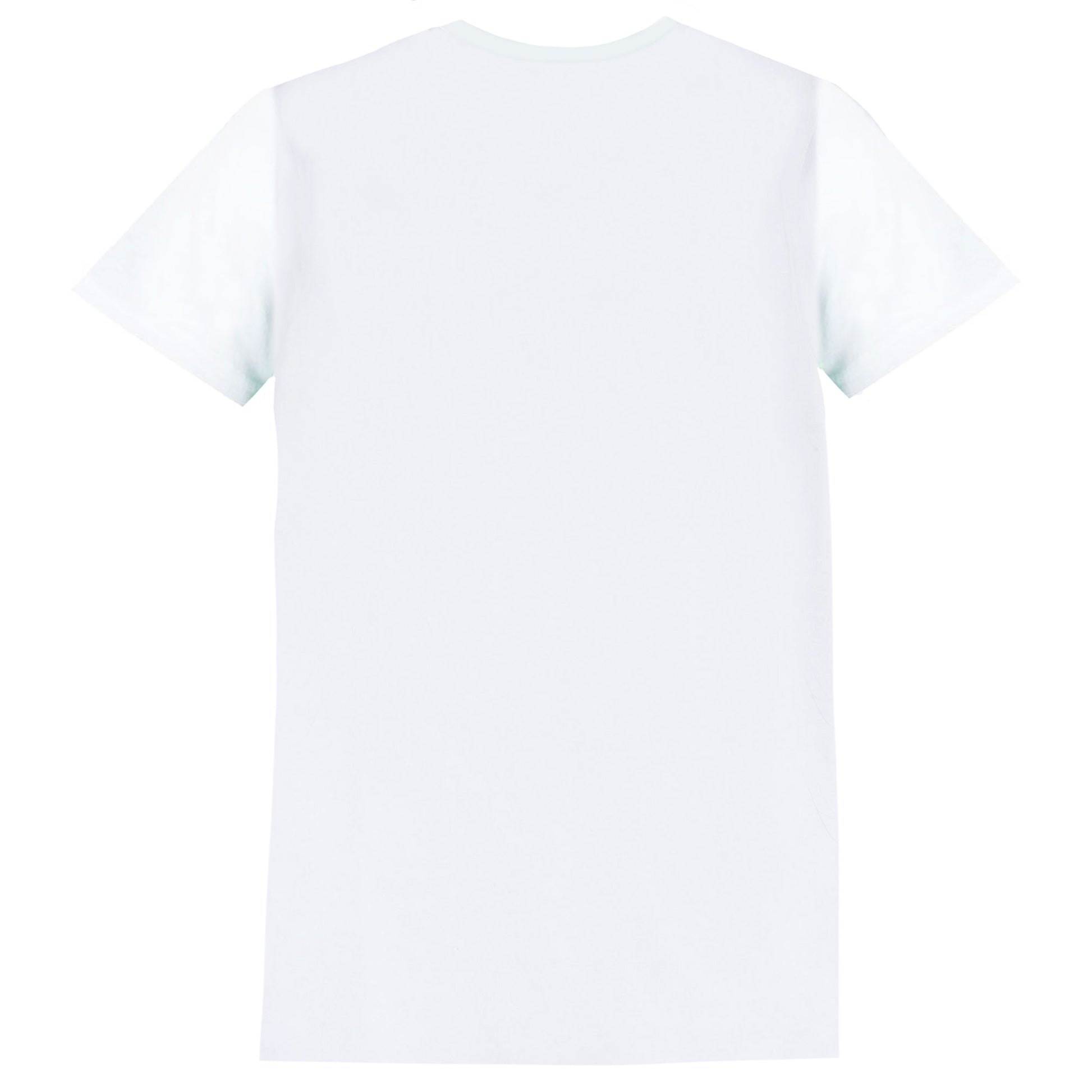 White-Green-Blue - Back - Super Mario Mens Luigi Costume T-Shirt
