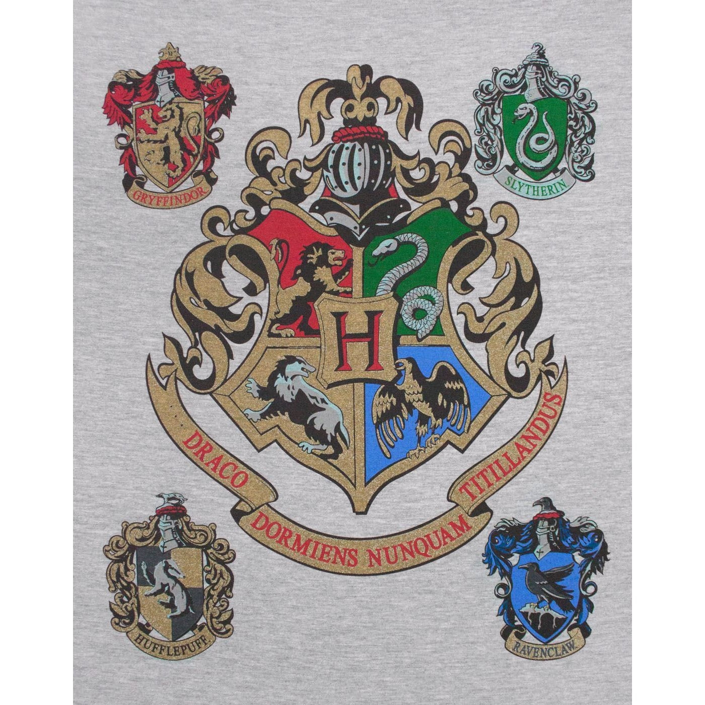 Grey-Navy - Side - Harry Potter Mens Hogwarts Raglan Top