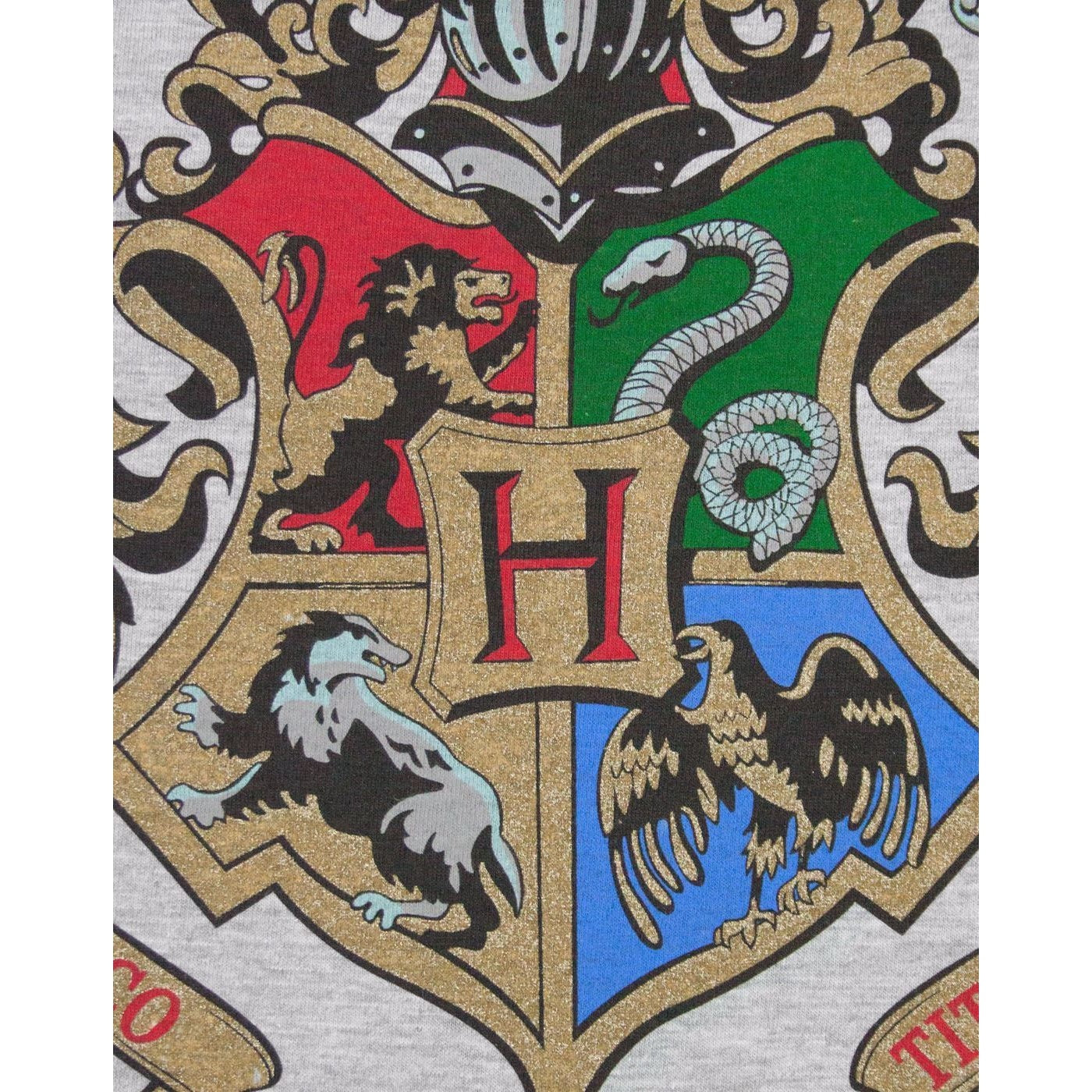 Grey-Navy - Lifestyle - Harry Potter Mens Hogwarts Raglan Top