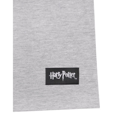 Grey-Navy - Pack Shot - Harry Potter Mens Hogwarts Raglan Top