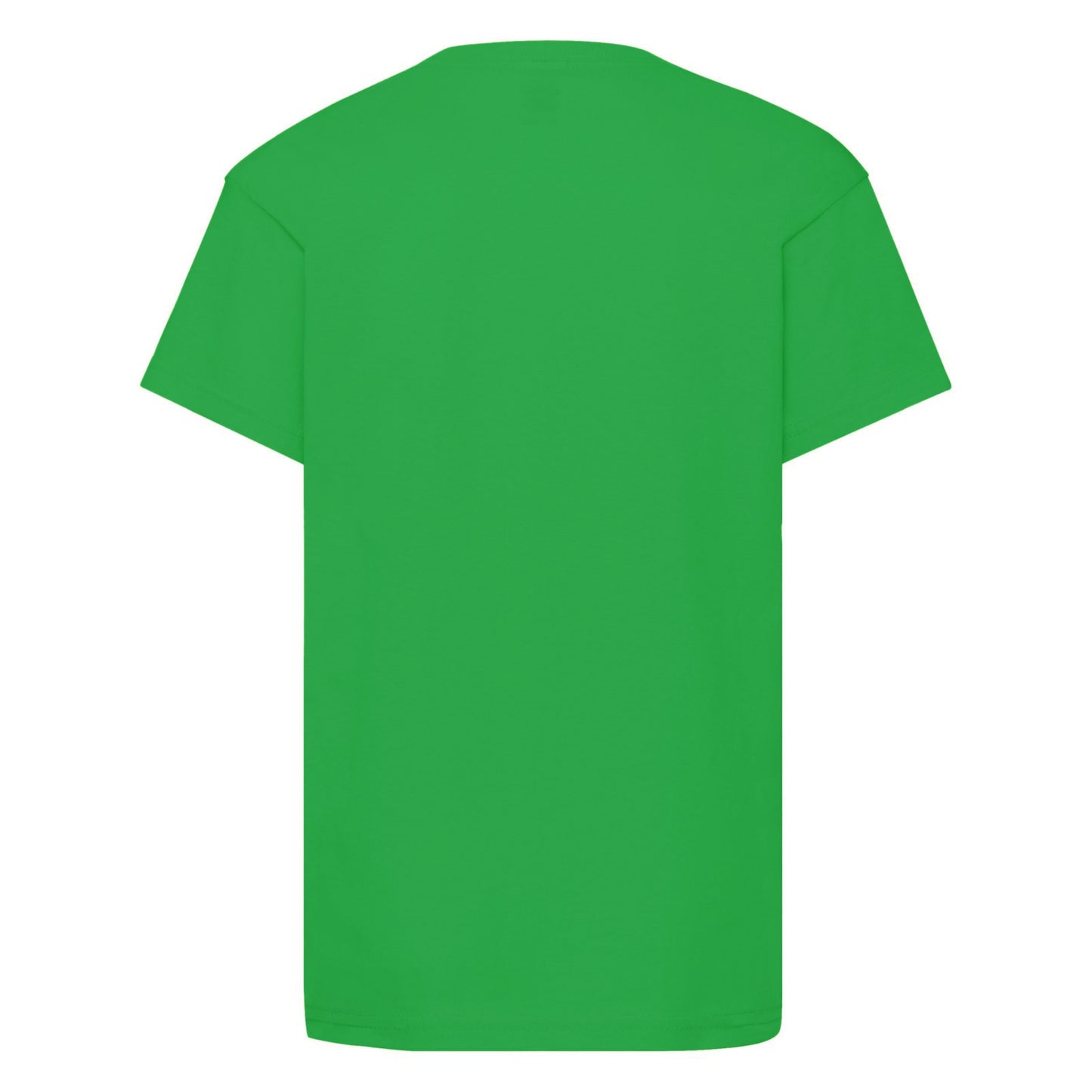 Green - Back - Minecraft Creeper Inside Boys Green T-shirt