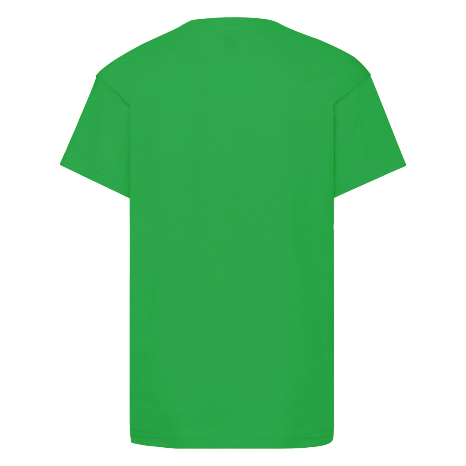 Green - Back - Minecraft Creeper Inside Boys Green T-shirt