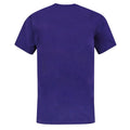 Purple - Back - DC Comics Boys The Flash Distressed Logo T-Shirt