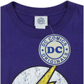 Purple - Side - DC Comics Boys The Flash Distressed Logo T-Shirt