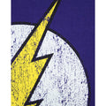 Purple - Side - DC Comics Boys The Flash Distressed Logo T-Shirt