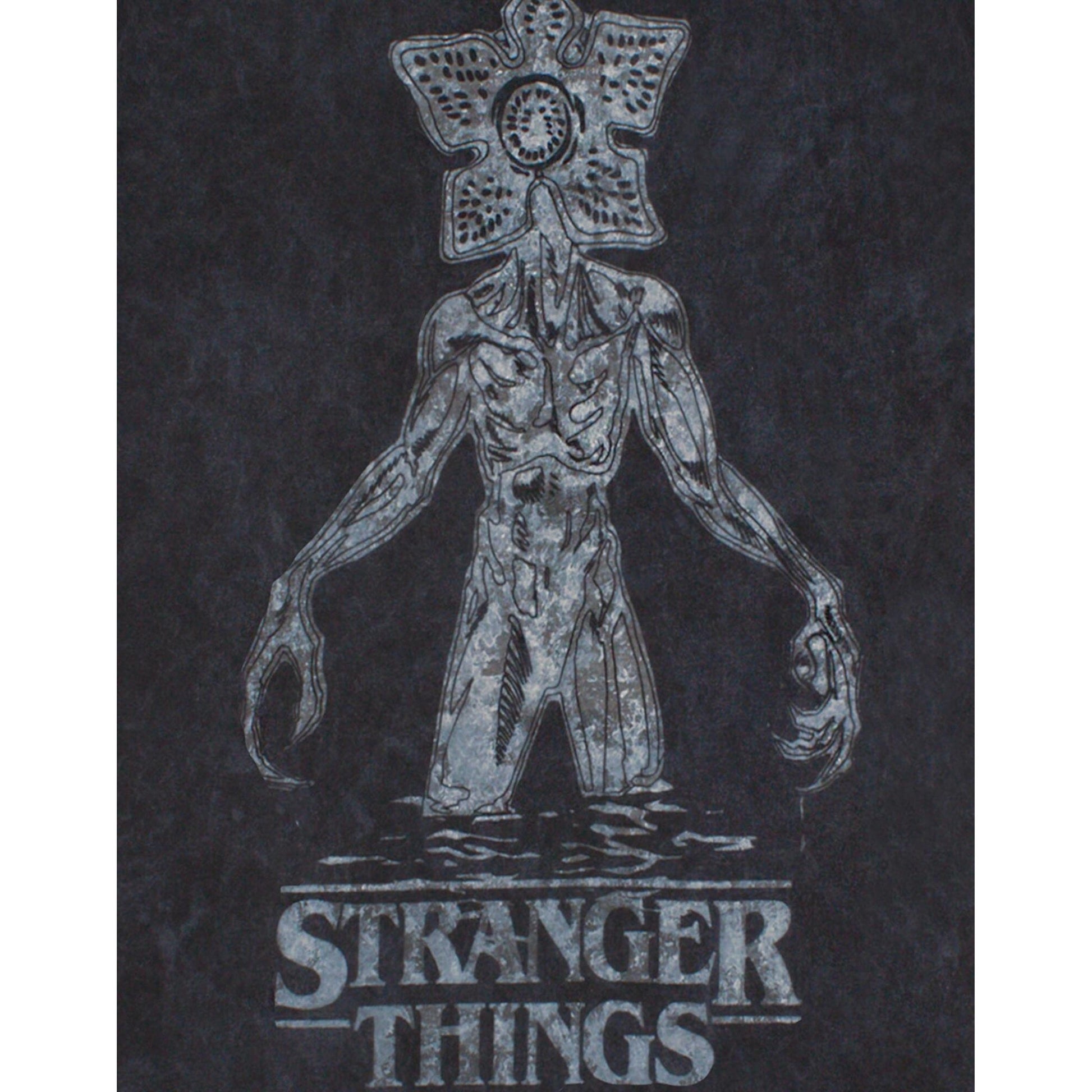 Charcoal - Pack Shot - Stranger Things Womens-Ladies Acid Wash T-Shirt