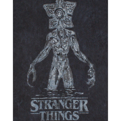 Charcoal - Pack Shot - Stranger Things Womens-Ladies Acid Wash T-Shirt