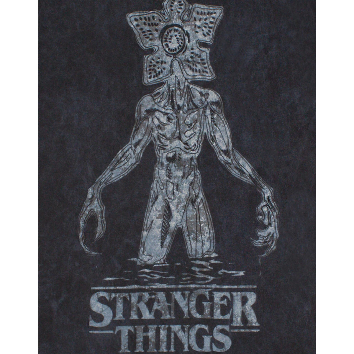 Charcoal - Pack Shot - Stranger Things Womens-Ladies Acid Wash T-Shirt