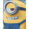 Charcoal-Blue-Yellow - Pack Shot - Despicable Me Boys Easy Going Minions T-Shirt