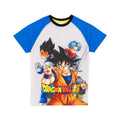 Grey-Blue - Back - Dragon Ball Z Boys Goku Pyjama Set
