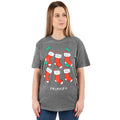 Grey-Red-White - Front - Friends Womens-Ladies Stocking Christmas T-Shirt