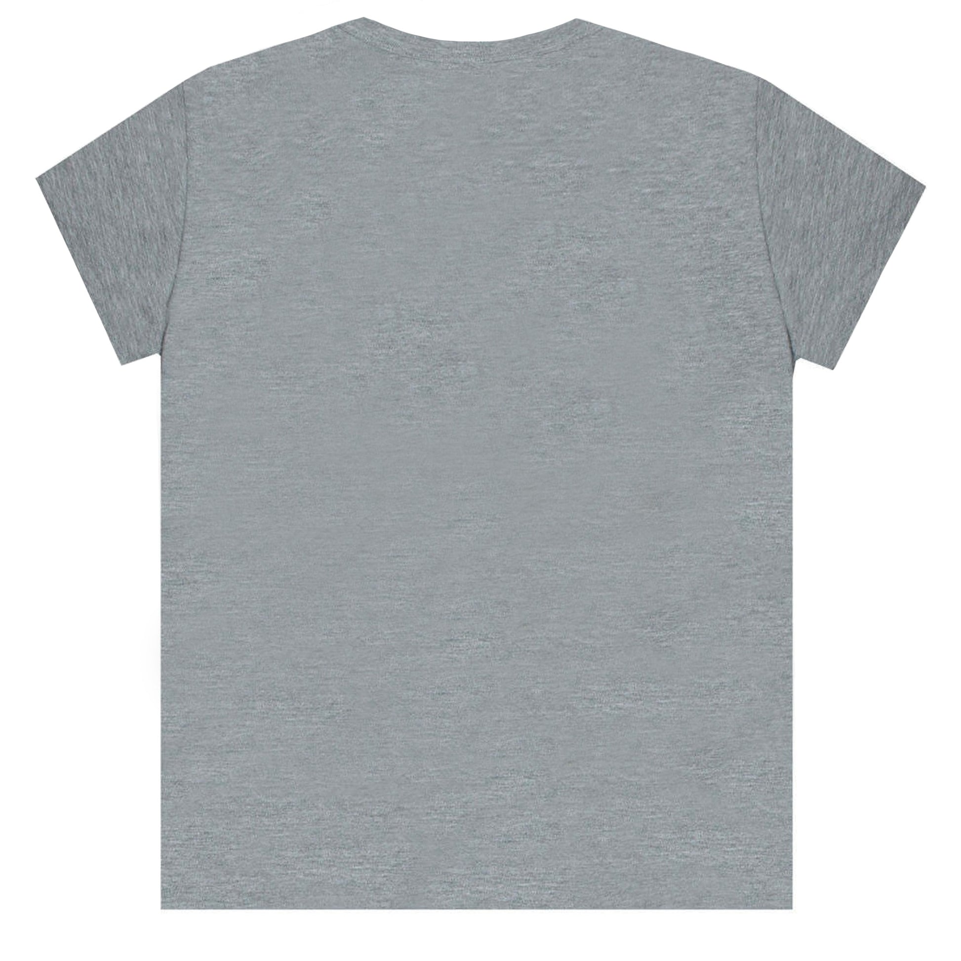 Heather Grey-Light Orange-Black - Back - The Lion King Boys Simba T-Shirt