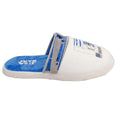 Blue-White-Grey - Back - Star Wars Mens R2-D2 Slippers