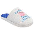 Grey-Blue-Pink - Front - Peppa Pig Mens Daddy Slippers