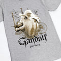 Grey-Dull Gold - Lifestyle - The Lord Of The Rings Mens Gandalf Heather T-Shirt