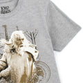 Grey-Dull Gold - Close up - The Lord Of The Rings Mens Gandalf Heather T-Shirt