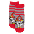 Multicoloured - Lifestyle - Paw Patrol Childrens-Kids Socks (Pack of 5)