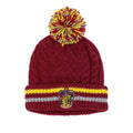 Red-Yellow - Back - Harry Potter Unisex Adult Gryffindor Beanie & Gloves Set
