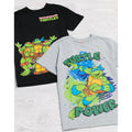 Black-Grey Marl - Pack Shot - Teenage Mutant Ninja Turtles Childrens-Kids T-Shirt (Pack of 2)