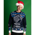 Blue-White - Close up - Game Of Thrones Unisex Adult Stark Knitted Christmas Jumper