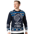 Blue-White - Front - Game Of Thrones Unisex Adult Stark Knitted Christmas Jumper