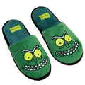 Green - Close up - Rick And Morty Mens Pickle Rick Slippers