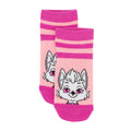 Pink-White-Green - Lifestyle - Paw Patrol Girls Socks (Pack of 5)