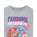 Grey - Back - Paw Patrol Girls Pawsome Friendships Marl T-Shirt