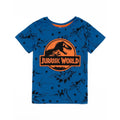 Blue - Back - Jurassic World Boys All-Over Print Short Pyjama Set