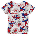 Grey - Side - Spider-Man Boys Short-Sleeved Pyjama Set