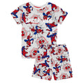 Grey - Front - Spider-Man Boys Short-Sleeved Pyjama Set