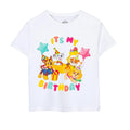 White - Front - Paw Patrol Childrens-Kids It´s My Birthday Short-Sleeved T-Shirt