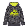 Grey - Front - Jurassic World: Camp Cretaceous Childrens-Kids Logo Hoodie