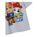 Grey Marl - Back - Paw Patrol Boys Peekaboo T-Shirt