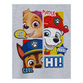 Grey Marl - Side - Paw Patrol Boys Peekaboo T-Shirt