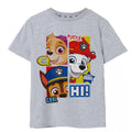 Grey Marl - Front - Paw Patrol Boys Peekaboo T-Shirt