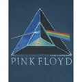 Blue - Back - Junk Food Mens Dark Side Of The Moon Pink Floyd T-Shirt