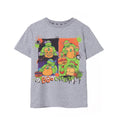 Grey - Front - Teenage Mutant Ninja Turtles Childrens-Kids Boo Crew Marl T-Shirt