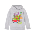 Grey Marl - Front - Teenage Mutant Ninja Turtles Childrens-Kids Shell Skater Hoodie