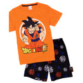 Orange - Back - Dragon Ball Z Boys Goku Short Pyjama Set
