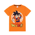 Orange - Side - Dragon Ball Z Boys Goku Short Pyjama Set
