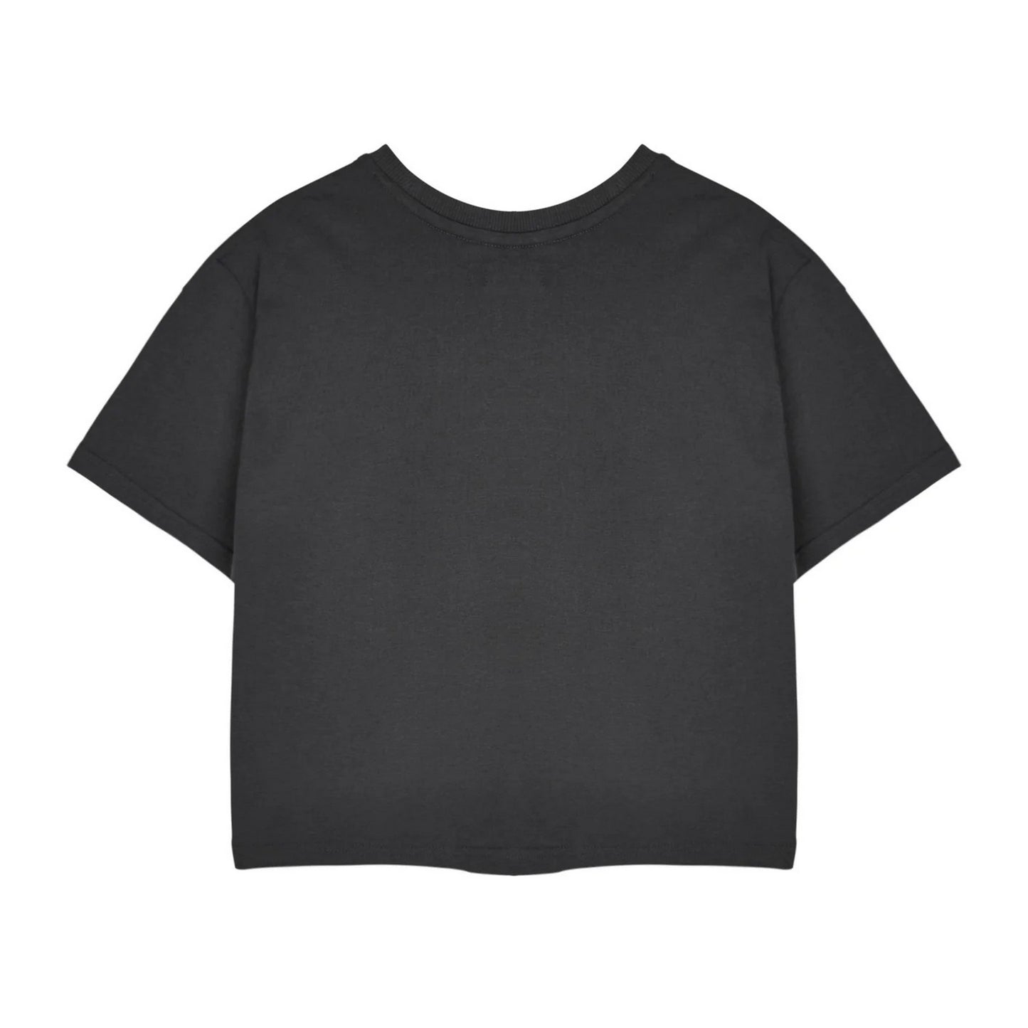 Charcoal - Back - Rugrats Womens-Ladies Retro Logo Short-Sleeved Crop Top