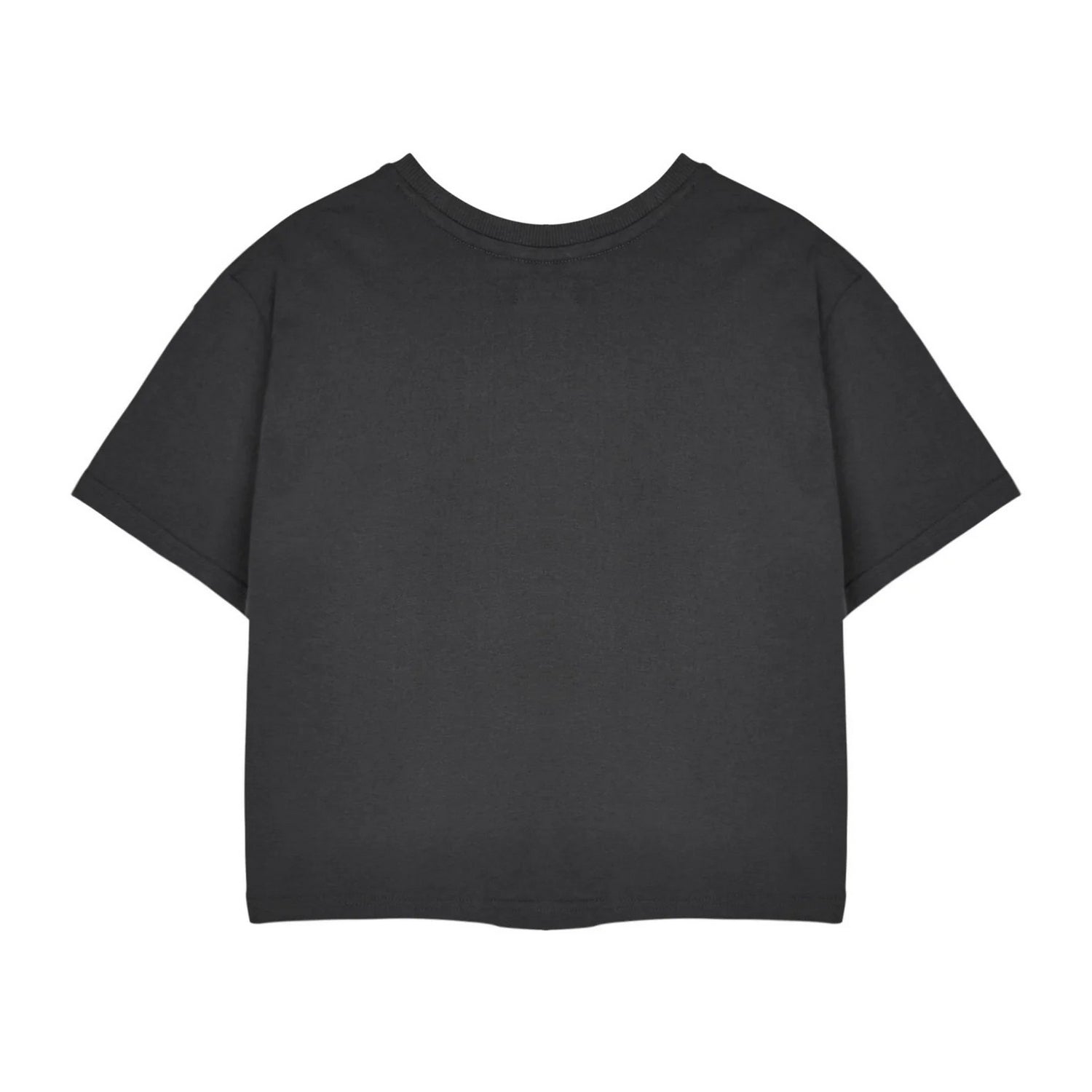 Charcoal - Back - Rugrats Womens-Ladies Retro Logo Short-Sleeved Crop Top