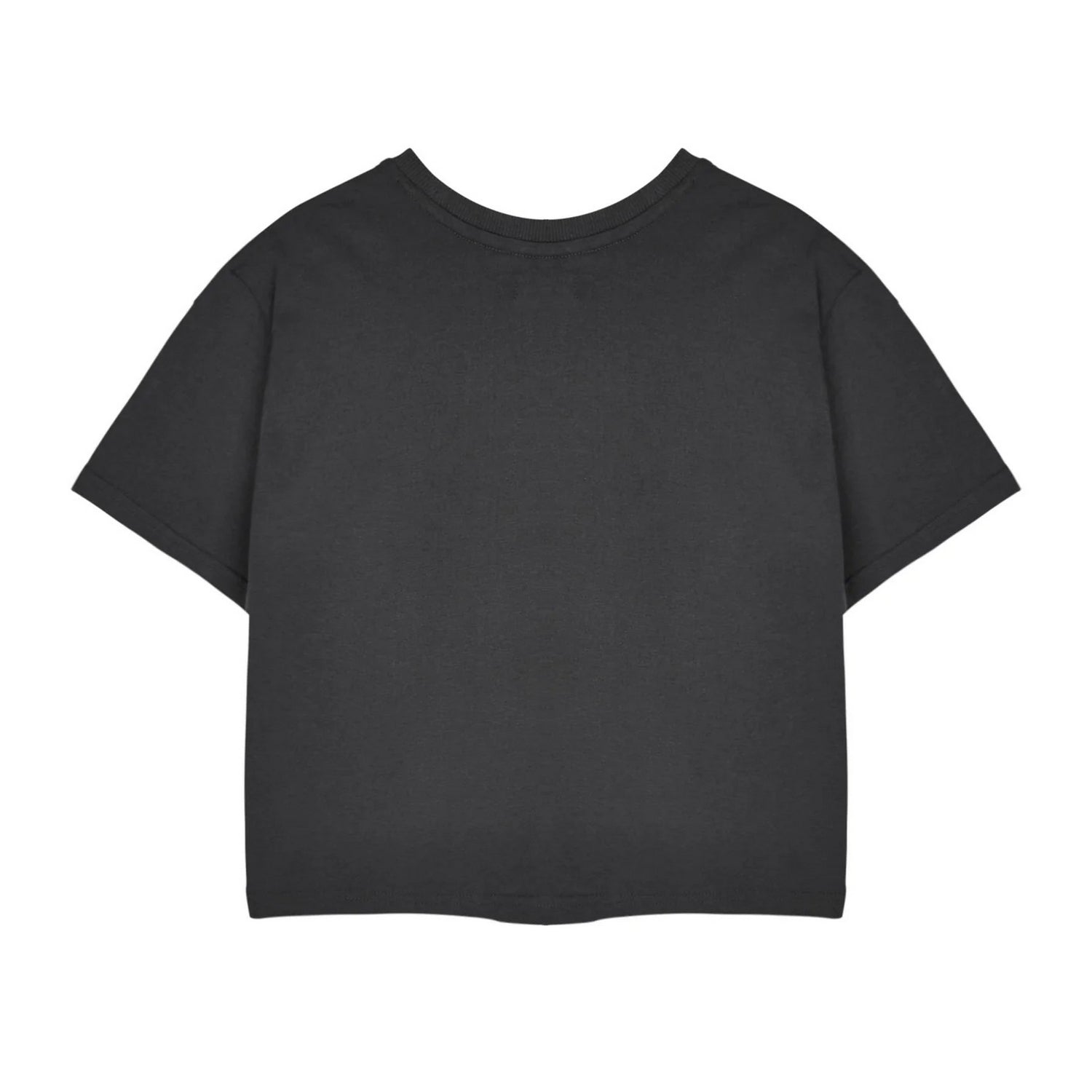 Charcoal - Back - The Little Mermaid Womens-Ladies Ariel Bubbles Short-Sleeved Crop Top