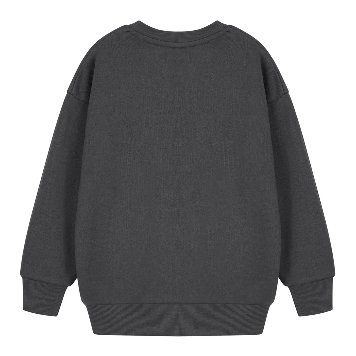 Charcoal - Back - Teenage Mutant Ninja Turtles Boys Have A Slice Day Sweatshirt