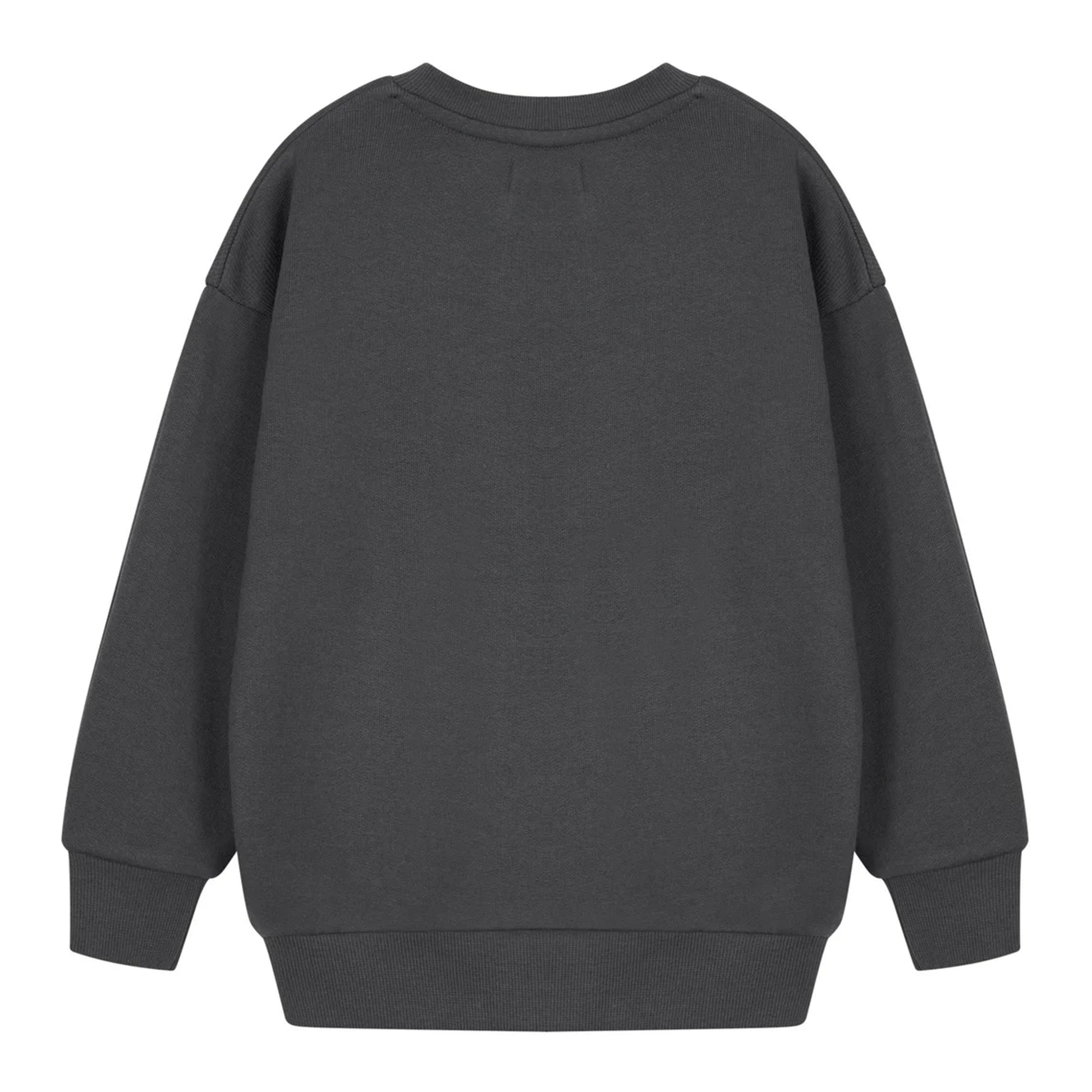 Charcoal - Back - Teenage Mutant Ninja Turtles Boys Have A Slice Day Sweatshirt